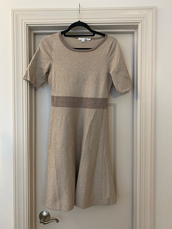 Boden Dresses & Skirts - Boden Metallic Champagne Midi Dress with Contrast Waistband